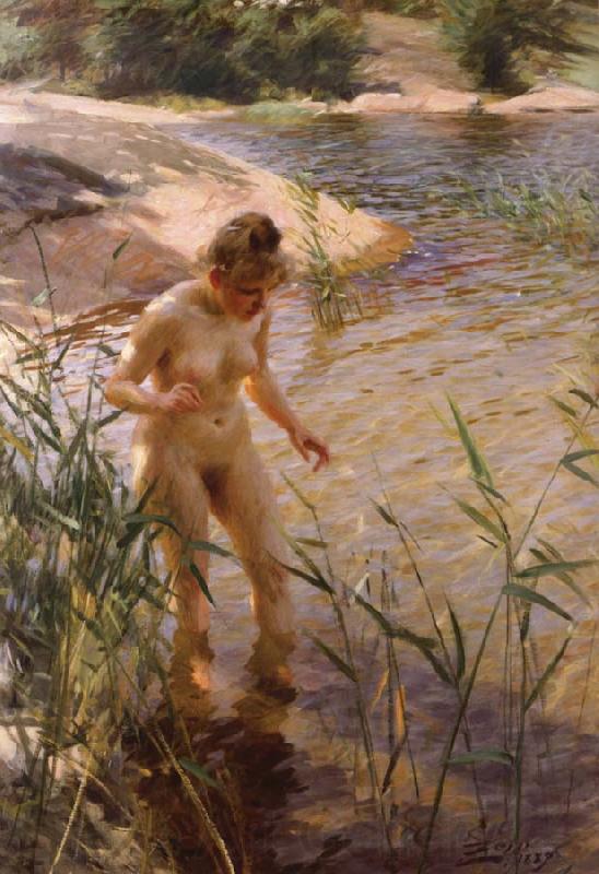 Anders Zorn Reflex Germany oil painting art